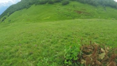 Alpine meadows yolundaki