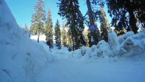 Camino de invierno en las montañas — Vídeo de stock