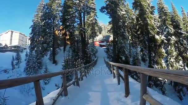 Holzbrücke Bergfluss — Stockvideo