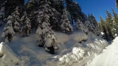 Dağlarda kış yolu