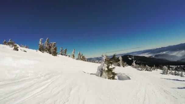 Schnee bedeckter Hang und aß — Stockvideo