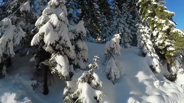 Pente couverte de neige et mangé — Video