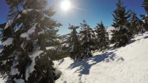 Schnee bedeckter Hang und aß — Stockvideo