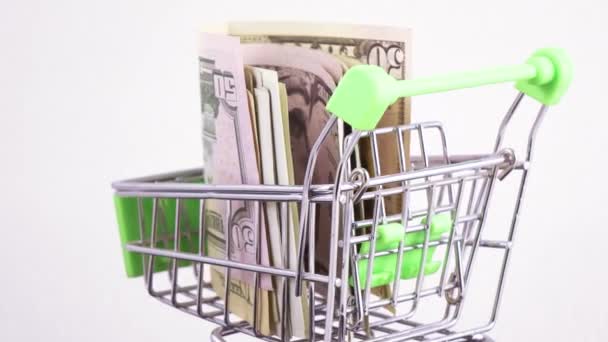 Currency exchange in the basket — Stock Video