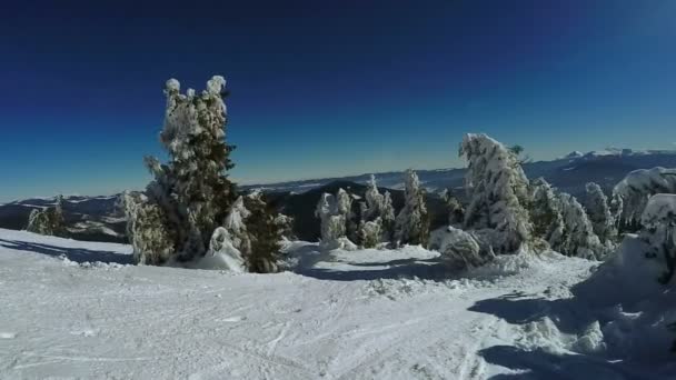 Besneeuwde helling en aten — Stockvideo