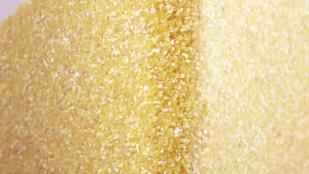 Genomskinlig behållare med majs gryn — Stockvideo