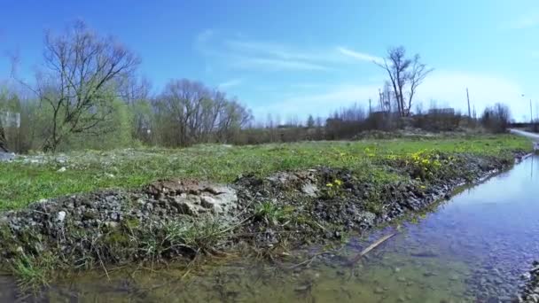 Mère et belle-mère dans la prairie 