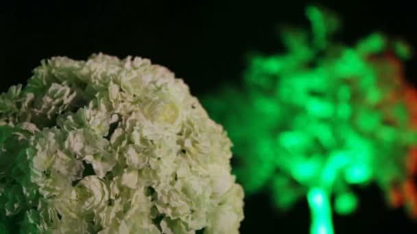 Bloem decoratie in het licht van de lantaarns — Stockvideo