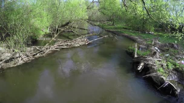 Dam on small river — Stock Video