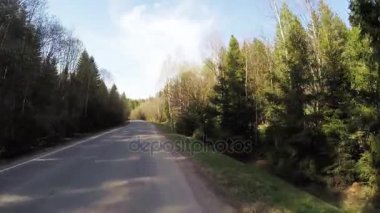 Ormanda asfalt yol
