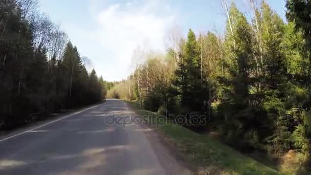 Asphalt road in the forest — Stock Video