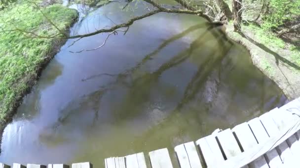 Träbro på en liten flod — Stockvideo