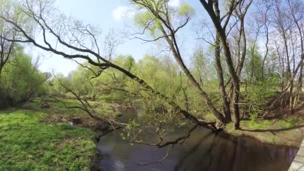 Dam op kleine rivier — Stockvideo