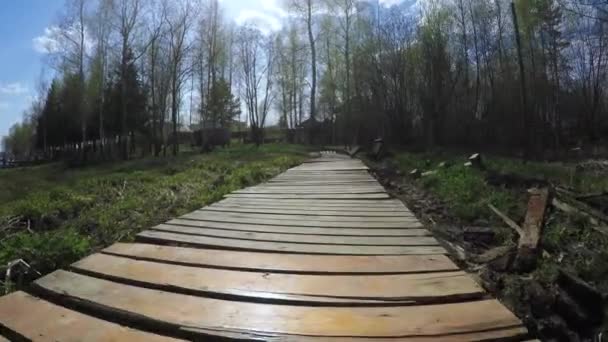 Foyers en bois à travers les marais — Video