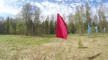 Çimlerin üstünde çok renkli bayraklar