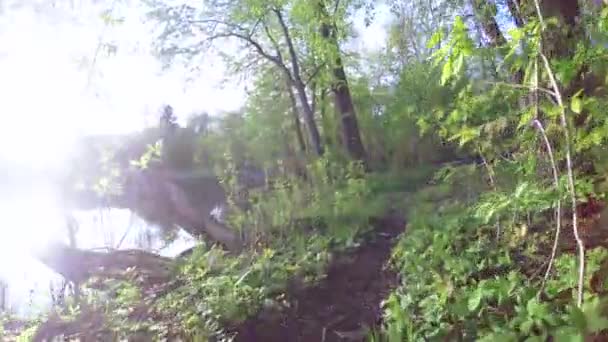 Basura en la orilla del río — Vídeos de Stock