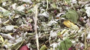 Bitkisel Karpat çay