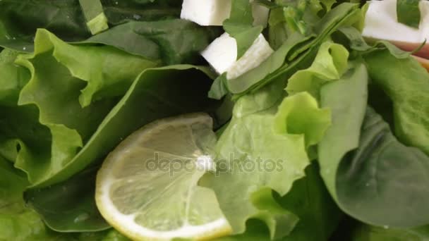 Salada variada em folhas de alface — Vídeo de Stock