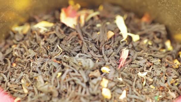 Τσάι σε ένα σίδερο βάζο με καπάκι — Αρχείο Βίντεο