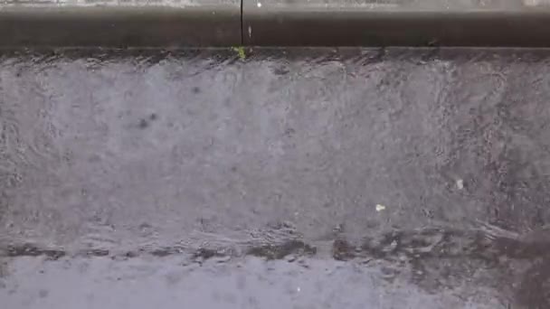 Grens en regen op asfalt — Stockvideo