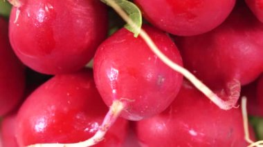 turp yaprakları ile