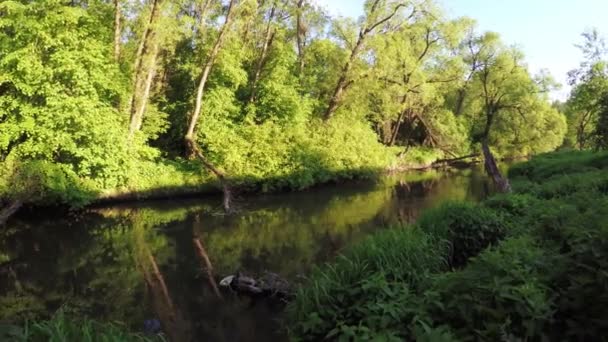 Barrage sur une petite rivière 