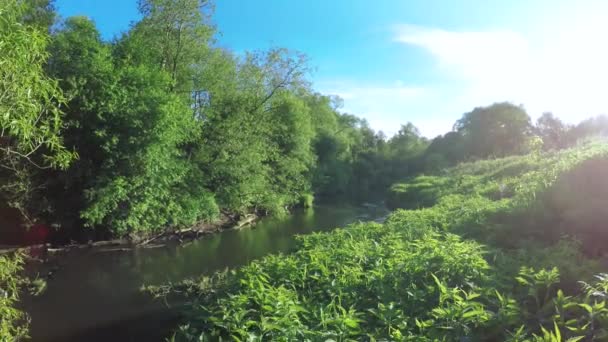 Bendungan di sungai kecil — Stok Video
