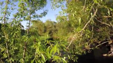 küçük nehir baraj