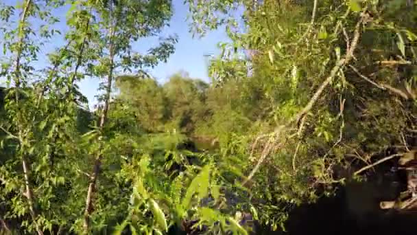 Barrage sur une petite rivière — Video