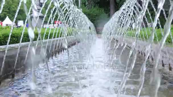 Jets of water fountain — Stock Video