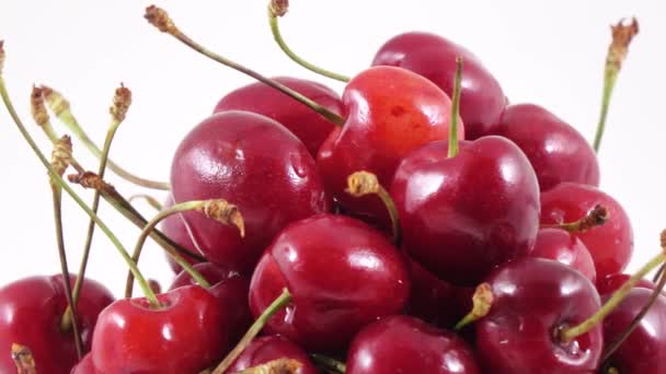 Berries of sweet cherry — Stock Video