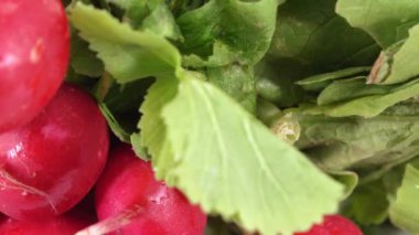 turp yaprakları ile