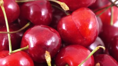Meyveleri tatlı kiraz
