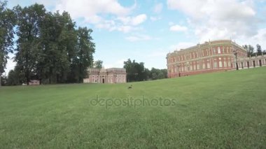 Park'ın bahçesinde karga