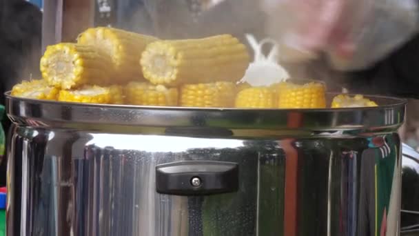 Sale of corn on the street — Stock Video