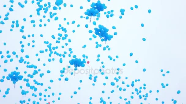 Massenstart von Ballons