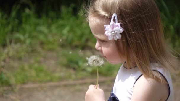 Bambino con dente di leone — Video Stock