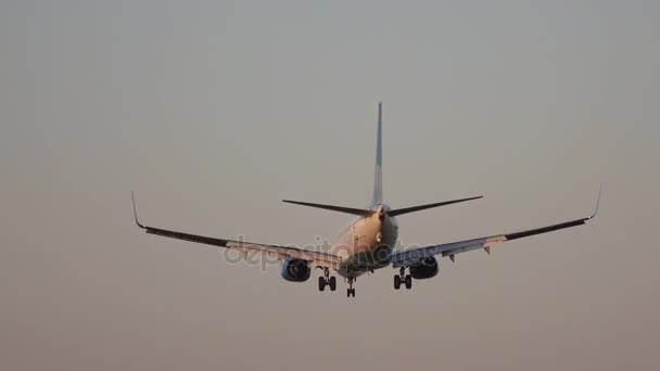 Aterrizaje de una aeronave de pasajeros — Vídeo de stock