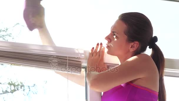Washing of house windows — Stock Footage Washing of house windows Stock Footage