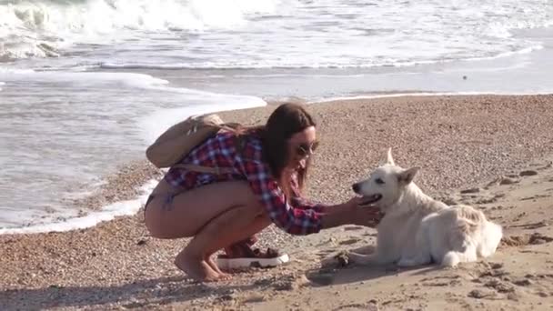 Chica en la playa con perro — Vídeo de stock