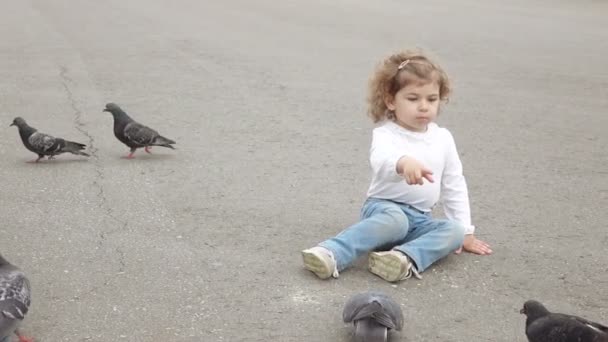 Girl feeds the pigeons — Stock Video