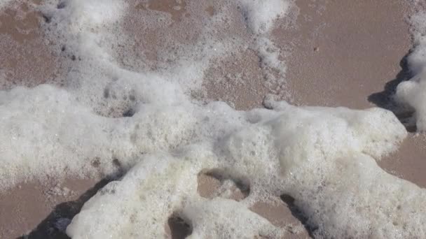 海岸に海の泡 — ストック動画