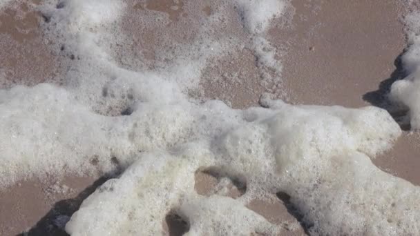 Schuim van de zee aan de kust — Stockvideo