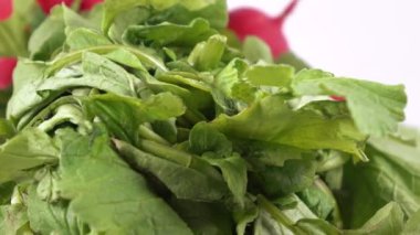 turp yaprakları ile