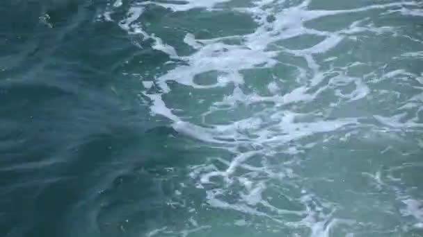 Rastros en el barco acuático — Vídeo de stock