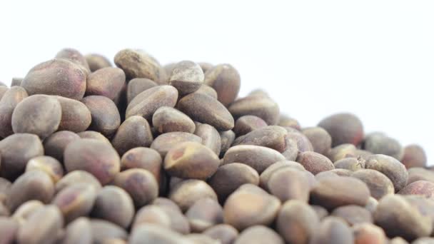 Pine nuts in bulk — Stock Video