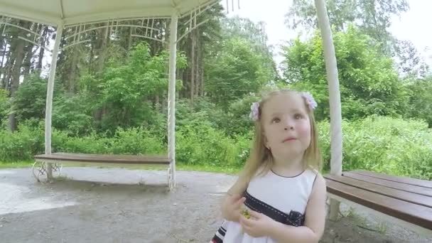 Dívka tančící na přírodě — Stock video