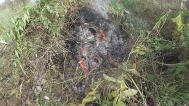 Yaprakların yanan yığın