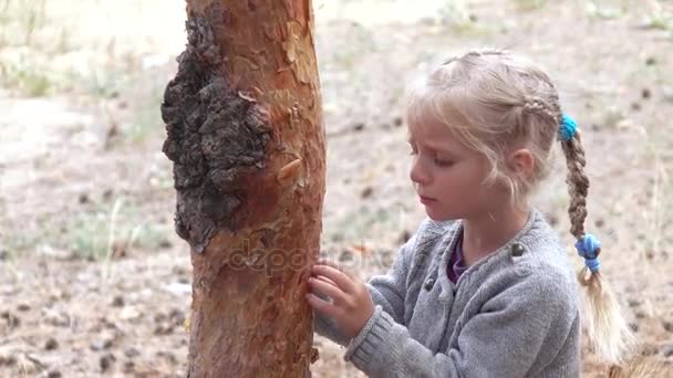Meisje knuffelen een boom — Stockvideo