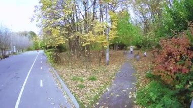 Sonbahar Şehir Parkı Sokolniki